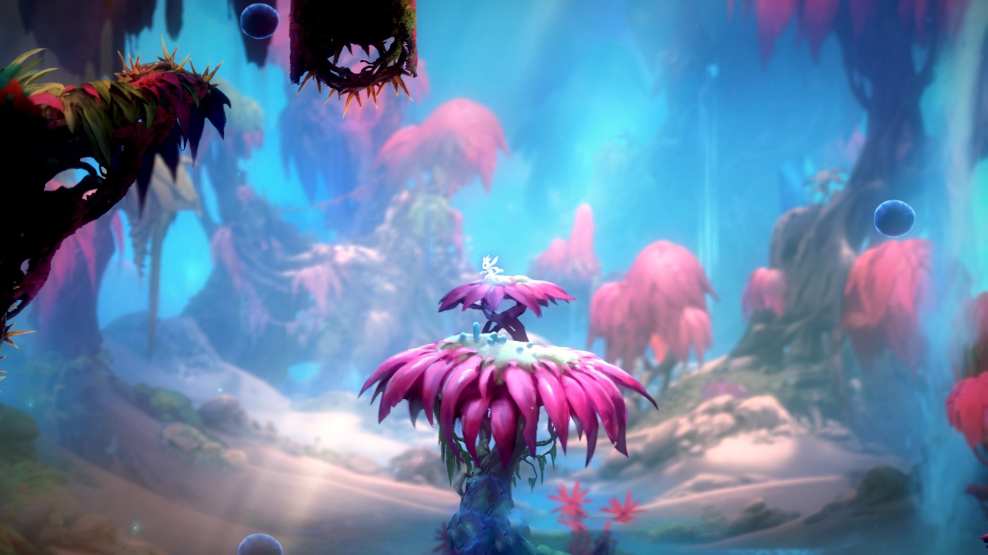 沙漠玫瑰砍倒橡树，阿克一箭定江山，塞内加尔斩落爱尔兰