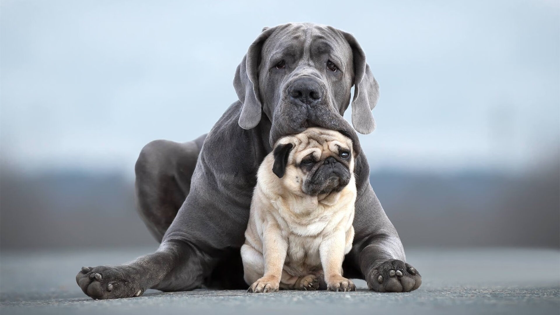 开云体育APP下载-欧冠级盛宴！湖人打穿火箭，上演篮球版半决赛焦点战